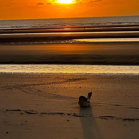 Penthouse Vakantielust Apartamento *